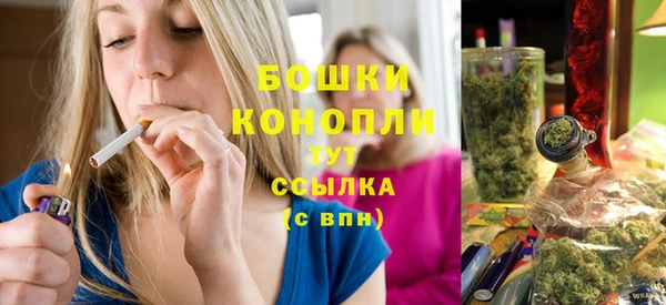 spice Горняк