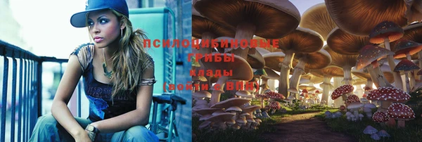 герыч Арсеньев