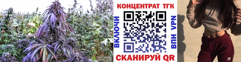 Дистиллят ТГК Wax  Серафимович 