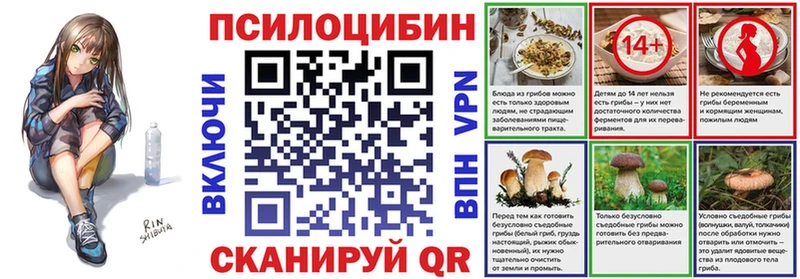 Галлюциногенные грибы Psilocybe  мега   Серафимович 
